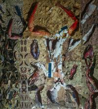 Eva Schmeckenbecher, detail from the installation “Crustacea x Hominem x Photographia” | DER GREIF