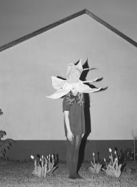 From "The Clear Image of Paradise" | DER GREIF
