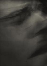 © Ege Kanar | DER GREIF