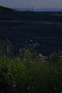 Damian Wis, "Border" from he series "Remedium" | DER GREIF