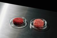 Caroline Heinecke, from the series "Future Food" | DER GREIF