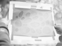 "A picture of fake rocks" | DER GREIF