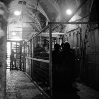 "Checkpoint", Al Khalil (Hebron), State of Palestine, 2025 | DER GREIF