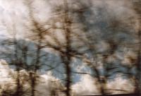 From the series "Like we could almost live forever" | DER GREIF