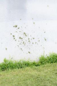 From the series "Slowing Down" | DER GREIF