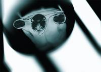 Alessio Pellicoro, from the series "Me, the black-box" | DER GREIF