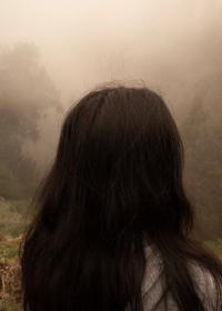 Clara Sartor, April in September | DER GREIF