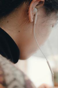 Untitled | DER GREIF