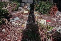 From the series "Calmistery" | DER GREIF