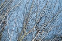 Zainab, from the series "Hazaron Khwahishein Aisi" | DER GREIF