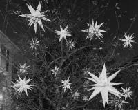"That has contained hope" | DER GREIF