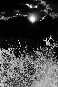 From the series "Ecos" | DER GREIF