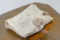 Microbial Landscape 2; 3; 5, Installation View | DER GREIF