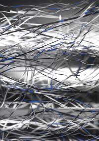 "23082023-14" | DER GREIF