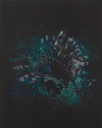 Becca Mann, Black Lionfish, 2020 | DER GREIF