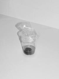 Eva Vei, from the series "Touch the floor and lick your finger" | DER GREIF
