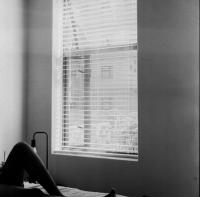 Morning Light | DER GREIF