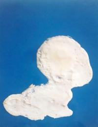 Naomi Livia, "Egg White III" from "Fried Egg Portraits" | DER GREIF