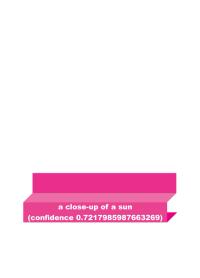 Closeup of a sun | DER GREIF