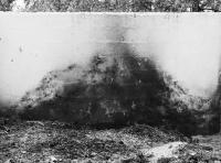 Visule Kabunda, from the series Staying In, Cape Town, South Africa | DER GREIF