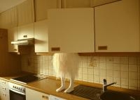 From the series "'Hause' Spiele" | DER GREIF
