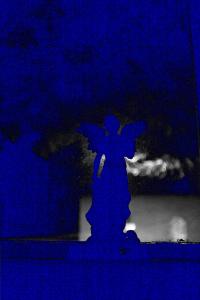 "11112019" | DER GREIF