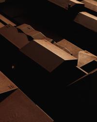 From the series "A Kind of Gold" | DER GREIF