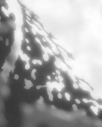 Somewhere Less Than Heaven B-Side | DER GREIF