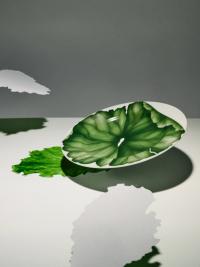 Caroline Heinecke, from the series "Future Food" | DER GREIF