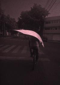 From the series "Hechizo" | DER GREIF