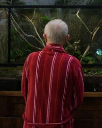 Uncanny Valley | DER GREIF