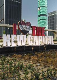 fata morgana | DER GREIF