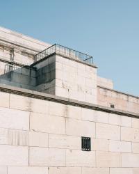 From the series "A Kind of Gold" | DER GREIF
