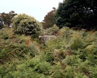 Friederike Brandenburg, Untitled, from the series Zurückgelassen, Neuseeland, 2010 © Friederike Brandenburg | DER GREIF