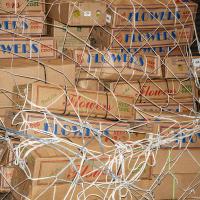 Protean Routes - Jabulani Dhlamini | DER GREIF