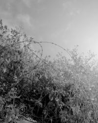 Somewhere Less Than Heaven | DER GREIF