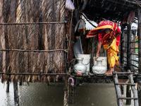 "Rain Harvest" | DER GREIF