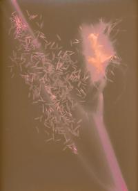 Inês Quente, from the series "They Dream Not" | DER GREIF