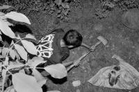 From the series "Kotar'baaz" | DER GREIF