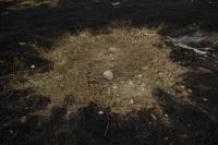 "War", Mykolaiv, Ukraine, 2022 | DER GREIF