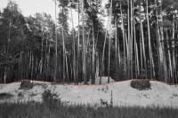 Ruslana Kliuchko, from the series "Feedback Loop" | DER GREIF