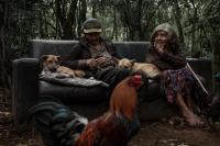 From the series "Forest Ruins", São Paulo, Brazil, 2025 | DER GREIF