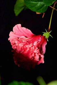 Untitled, Miami, Florida, United States of America, 2023 | DER GREIF