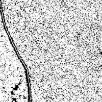 The Seashore | DER GREIF