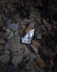 Asteroid 2009 FJ1 | DER GREIF