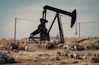 "Pumpjack Pasture" | DER GREIF