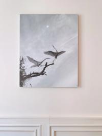 Installation view, Fenqiang Liu, "Wings of the Universe", 2020 © Jens Masmann | DER GREIF
