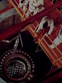 From the series "The Elephant's Foot" | DER GREIF