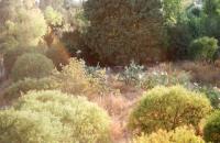 From the series "Like we could almost live forever" | DER GREIF