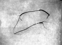 Photogravure Print on Handmade Paper | DER GREIF